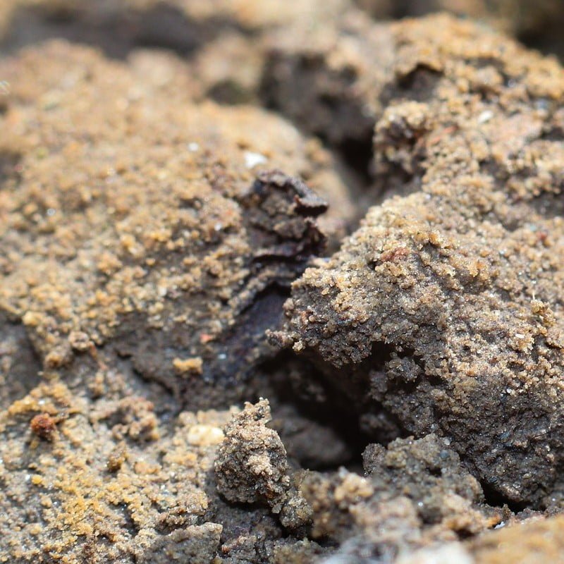 Imagen de arena o sedimentos