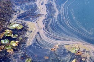 Agua contaminada